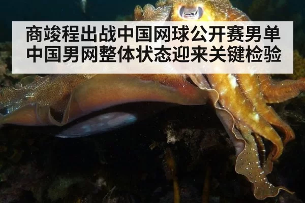 商竣程出战中国网球公开赛男单 中国男网整体状态迎来关键检验